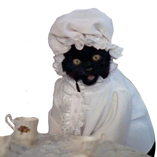 gato, gato salem, gato de seil, slem el gato sabrina, sabrina little witch salem