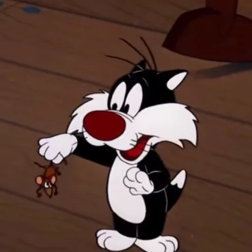 chat, sylvester, looney tunes, sylvester luni tunz, sylvia sylvester looney