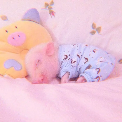 juguetes de peluche, lindas almohadas, pimado delgado de cerdo, el niño duerme una cuna, un lindo cerdo de la cama