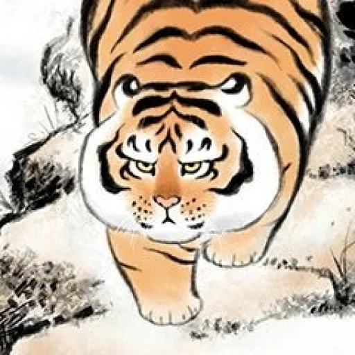 tigre, chagrin au tigre, tiger amur, illustration de tigre, tiger descendant la montagne