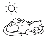 cat, simon's cat, simon the seal, simon the cat is asleep, simon the cat is asleep