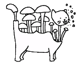 рисунок, раскраска гриб, грибы раскраска детей, раскраска волшебный гриб, раскраски антистресс грибы