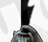 badcomedian, commerciante di scimmie
