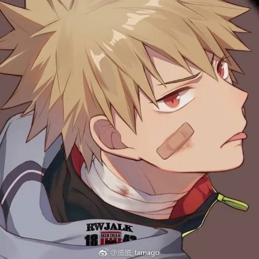 bakugo, fruta branca, oito vala shengmu, shengmu bagou omega, autor bakugo katsuki