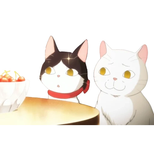 кошка, кот аниме мем, кот нянко сенсей, мартовский лев аниме котики