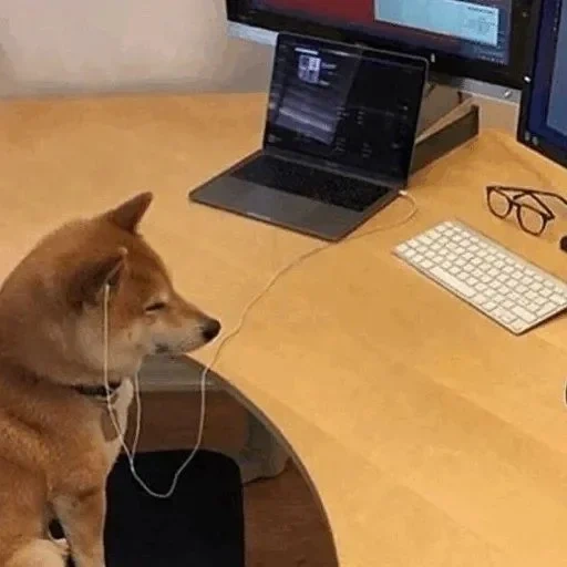 shiba, cão de madeira, shiba inu, cão atrás do computador, o cachorro se inclinou na frente do computador