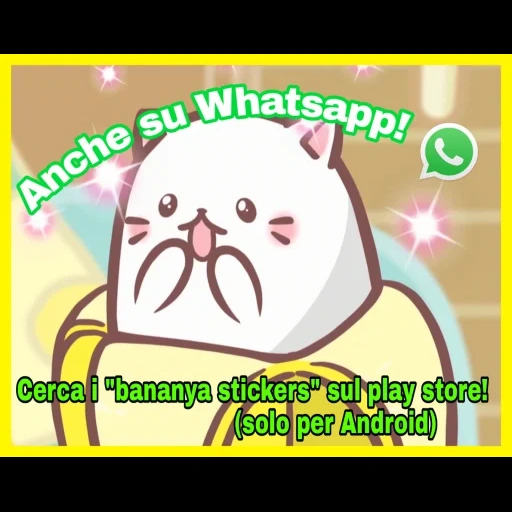 pisang, kucing, anime cat blananka, kucing anime yang indah, pisang kucing kawaii