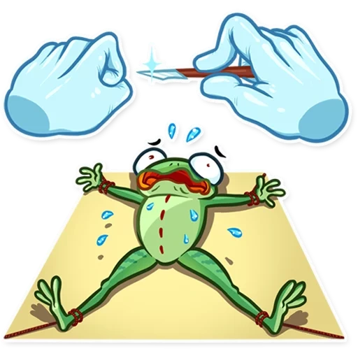 жаба лягушка, разрезанная лягушка, сумасшедшая лягушка, прикольные лягушки срисовки, сумасшедшая зеленая лягушка