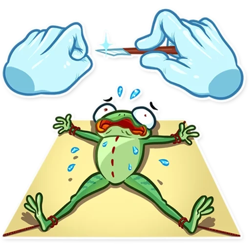 der frosch der kröte, cut the frog, verrückter frosch, lustige frösche skizze, verrückter grüner frosch