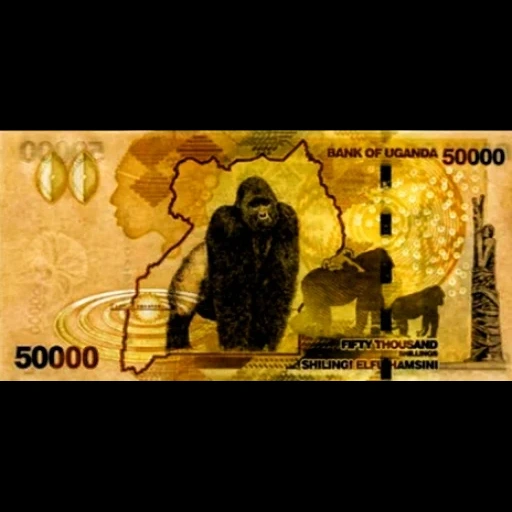money, paper money, paper money, panda banknotes, peace banknotes