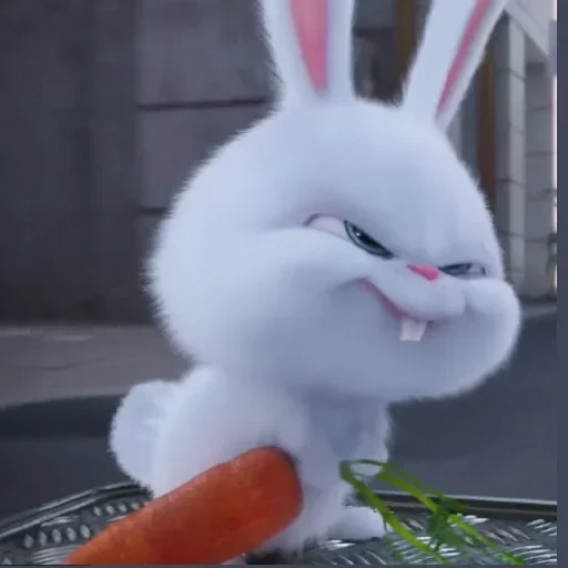 boule de neige de lièvre, mauvais lapin, carotte de lapin maléfique, la vie secrète du lapin de compagnie, la vie secrète du lapin animal de compagnie boule de neige