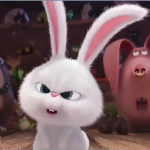 conejo enojado, bola de nieve de conejo, vida secreta del conejo, la vida secreta de las mascotas liebre, pequeña vida de mascotas conejo