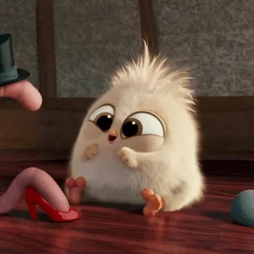 angry birds movie, angry birds blast, chicken worm, chicken worm cartoon, the early hatchling gets the worm cartoon 2016