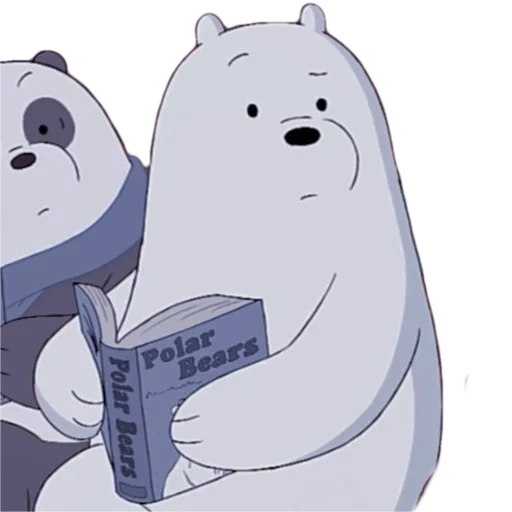 funny, ice bear, the whole truth about bears, white's whole truth about bears