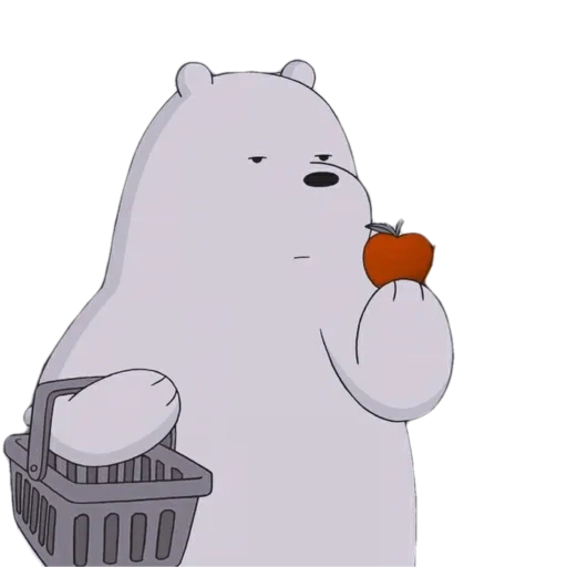 ours blanc, ours polaire, l'ours est drôle, the bare bears ice bear, toute la vérité de l'ours blanc