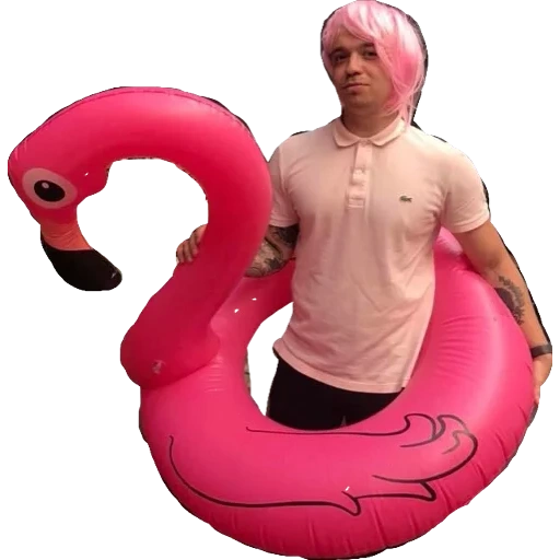 костюм 518 фламинго, надувной круг фламинго, человек костюме фламинго, розовый фламинго надувной, надувной круг фламинго кеша