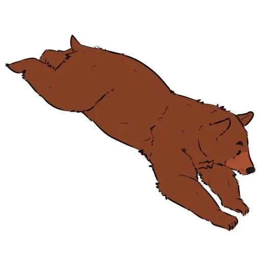 bear, bear pan, brown bear, flat bear, brown bear