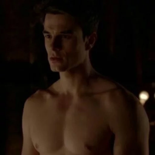 damon salvatore, ian somerhold, diário de vampiros, tronco de michaelson, natanier bozolic