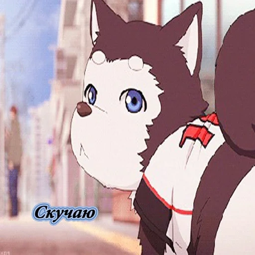 anime kuroko, chiens d'anime, basket-ball kuroko, basket-ball kuroko tetsuya 2, anime basketball kuroko dog