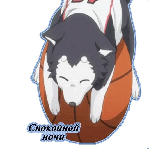 anime, karakter anime, anjing kuroko bola basket, anime basketball kuroko dog, kuroko bola basket anime anjing