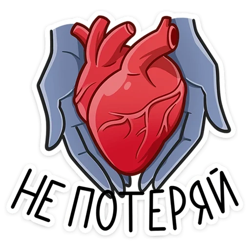 бастет, сердце, скриншот, сердце наклейка, человеческое сердце