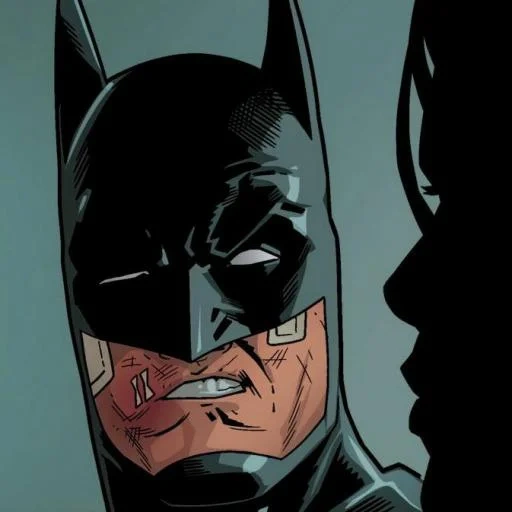 batman, batman robin, eroe di batman, i fumetti di batman, mikel janin batman