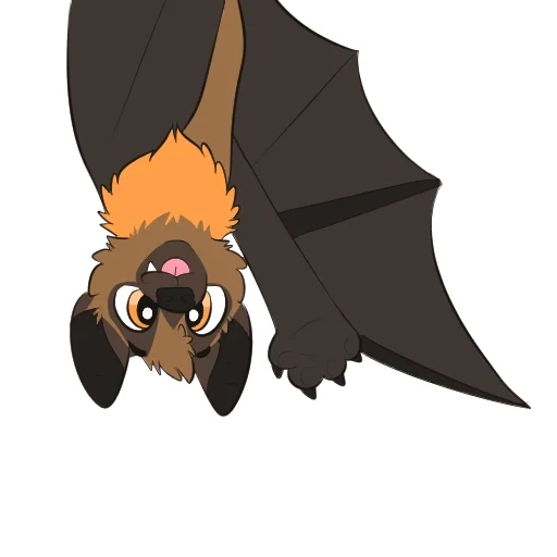 rag'bat, morcego, morcego, cartoon morcego, ilustração de morcego