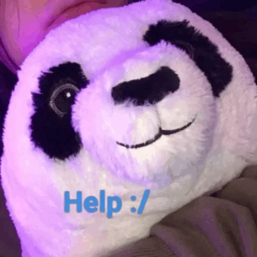 panda, giocattoli, un giocattolo, giocattolo panda, peluches