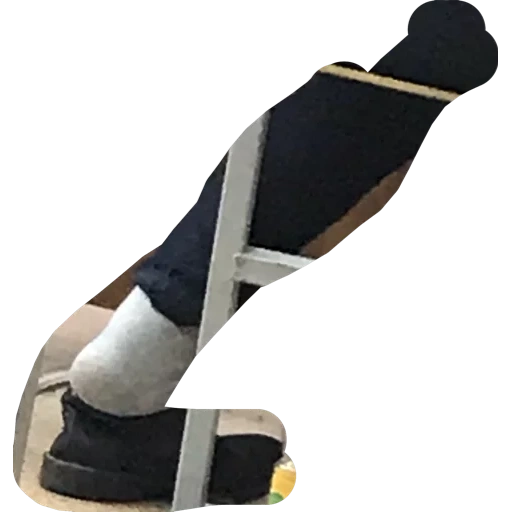 legs, orthosis, orthes, bandage of the hock joint, barry 10339 socks