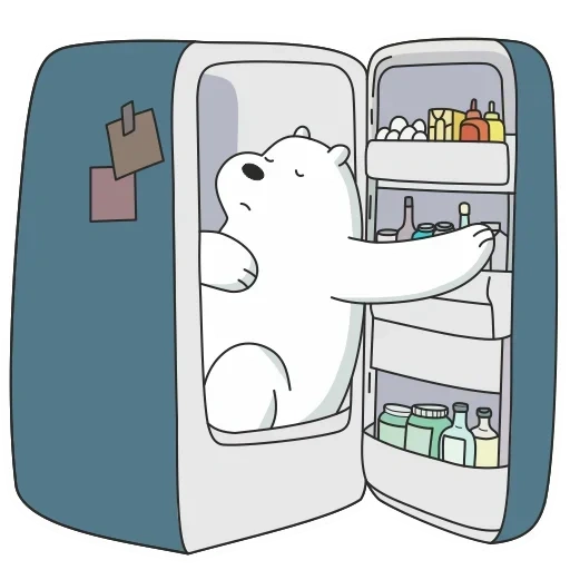 white bear, little bear white, bear refrigerator, the whole truth about bears