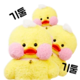 bbangbbangduck