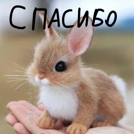 cute rabbit, little rabbit is cute, lovely little rabbit, cute little animals, little rabbit