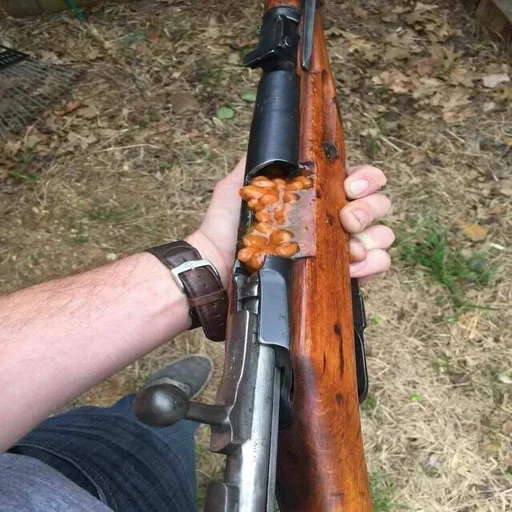 bolt action, винтовка свт, свт-40 винтовка, малхолланд драйв, picture beans in places that beans should not be