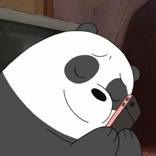 bare bears, the whole truth about bears, ice bear we bare bears, the whole truth about panda bears, we bar bears aesthetics panda