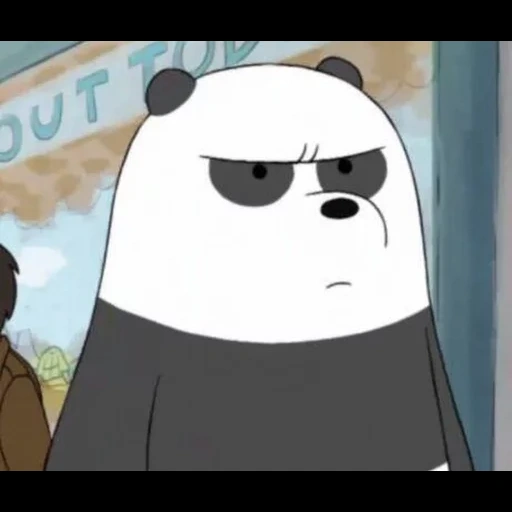 panda pan, toda a verdade sobre o urso, toda a verdade de pan pan xiong, pan pan tem toda a verdade sobre o urso, cartoon panda cartoon all bear truth