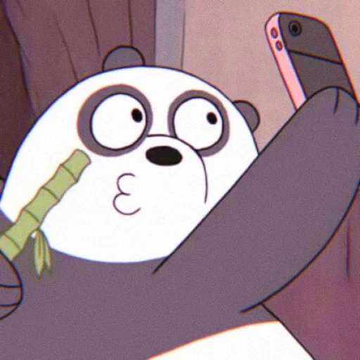 boys, the whole truth about bears, the whole truth about bears in pandas, screenshot the whole truth of panda bear, the whole truth of the white axe bear
