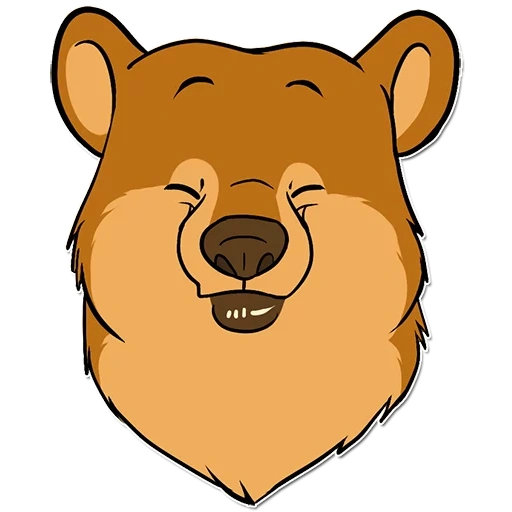 la faccia dell'orso, la faccia di un vettore di orso, disegno per orso di muso, la testa di un disegno di orso, orso del muso che disegna i bambini
