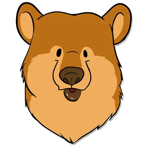 bear, bear, the face of the bear, muzzle bear, bear head
