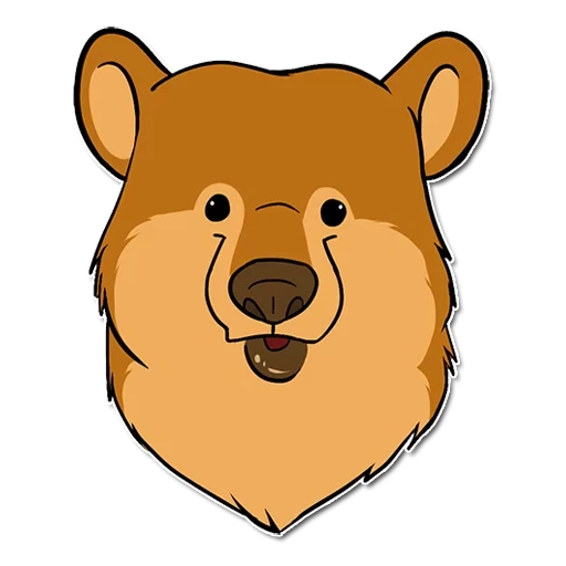 das gesicht des bären, mündungsbär, bärenkopf, bear pedobir, logo bärenkleidung
