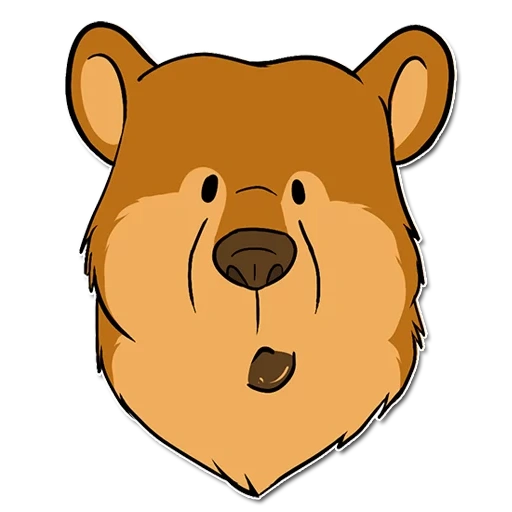 urso, rosto de urso, rosto de urso, urso engraçado, cartoon urso