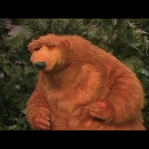 urso, meme dead, urso na grande casa azul, basta na big blue house dancin no dia, urso na grande casa azul precisa de um pouco de ajuda hoje