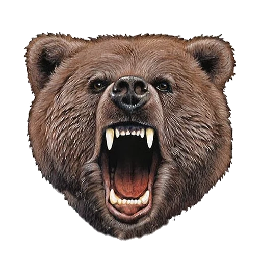 böser bär, rafael santi, der bär lächelte, the grizzly, grizzly evil