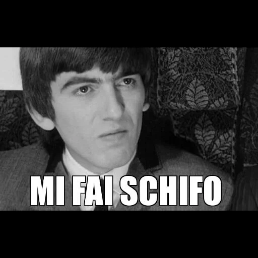 scarafaggi, gli scarafaggi, george harrison, ringo starr beatles, beatles paul mccartney