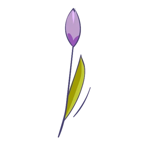 hoja de tulipán, caricatura de tulipán, el tallo de la flor, flor de tulipán, dibujo de tulipán