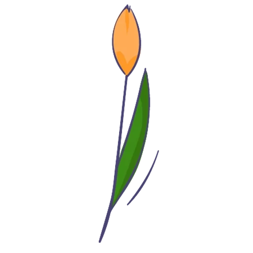 tulipanes, hoja de tulipán, el tallo de la flor, flor de tulipán, dibujo de tulipán