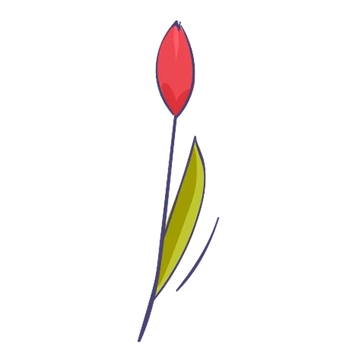 tulipanes, un tulipán, hoja de tulipán, flor de tulipán, símbolo de tatarstán tulip