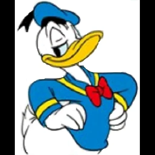donald, donald duck, capitaine donald duck, donald duck duck histoires héros