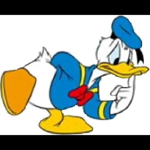 donald bebek, kartun donald duck, donald daisy pluto, kartun karakter donald duck