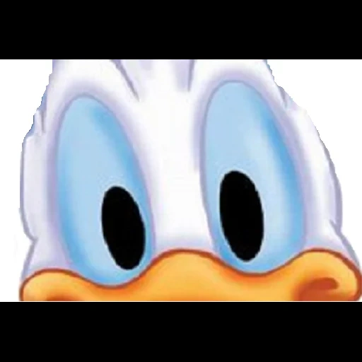 duck, animation, donald, donald, donald duck