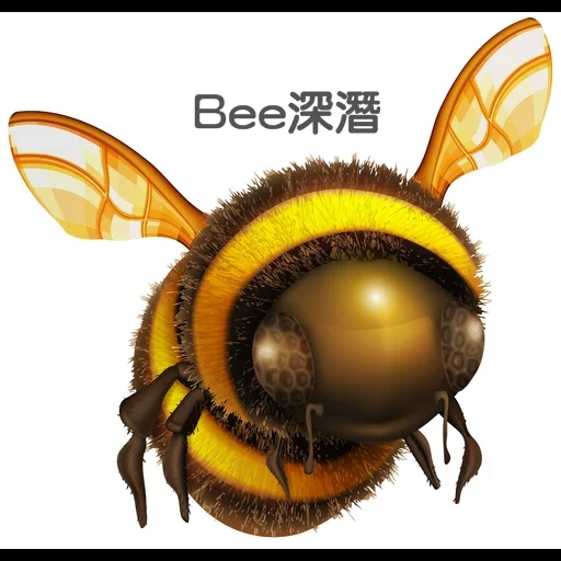 kumbang, lebah, lebah lebah, vektor lebah 3d, bee osa bumblebee